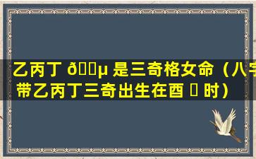 乙丙丁 🐵 是三奇格女命（八字带乙丙丁三奇出生在酉 ☘ 时）